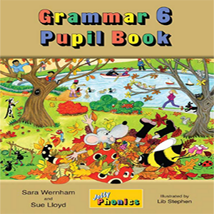 Grammar 6 Pupil Book